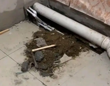 白云卫生间漏水检测哪家好